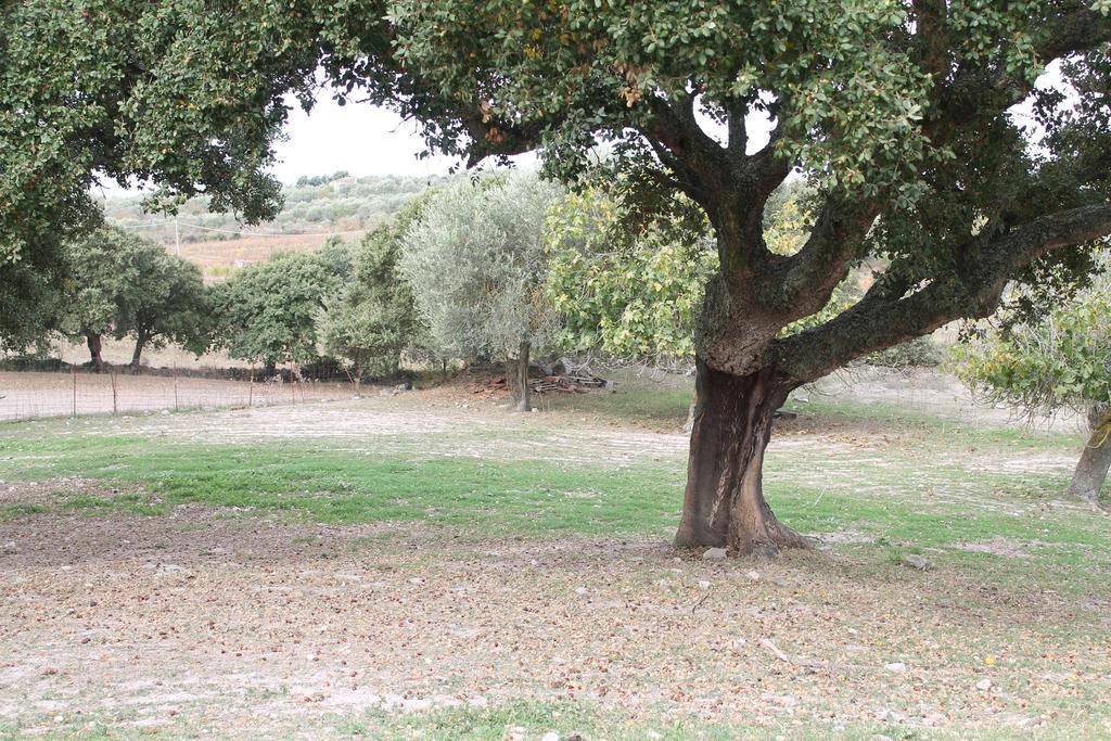 Agriturismo Su Recreu Ittiri Экстерьер фото