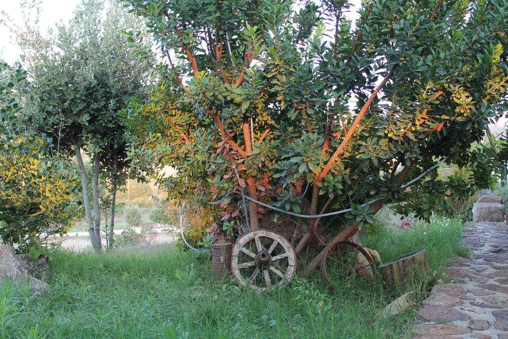 Agriturismo Su Recreu Ittiri Экстерьер фото