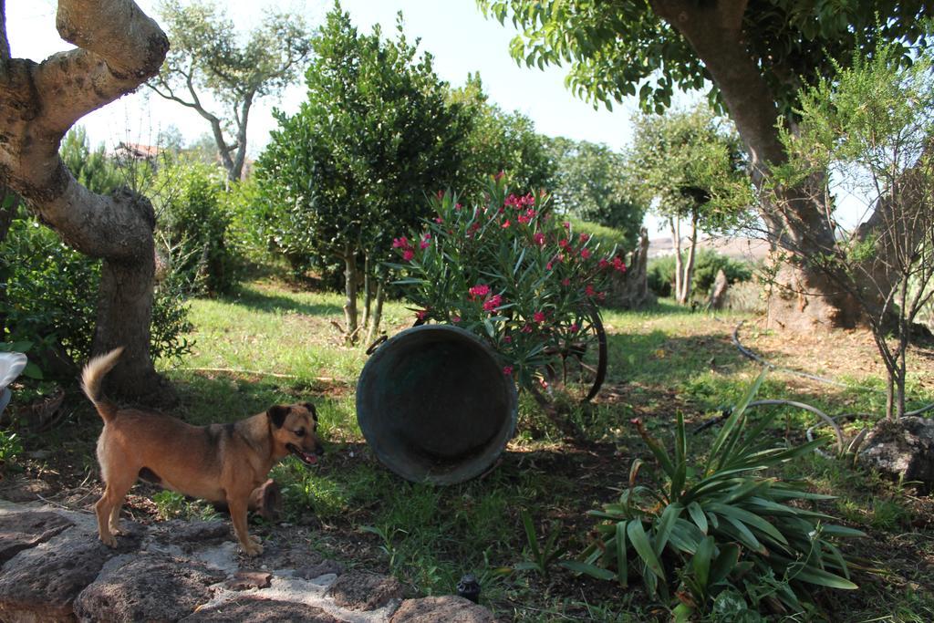 Agriturismo Su Recreu Ittiri Экстерьер фото