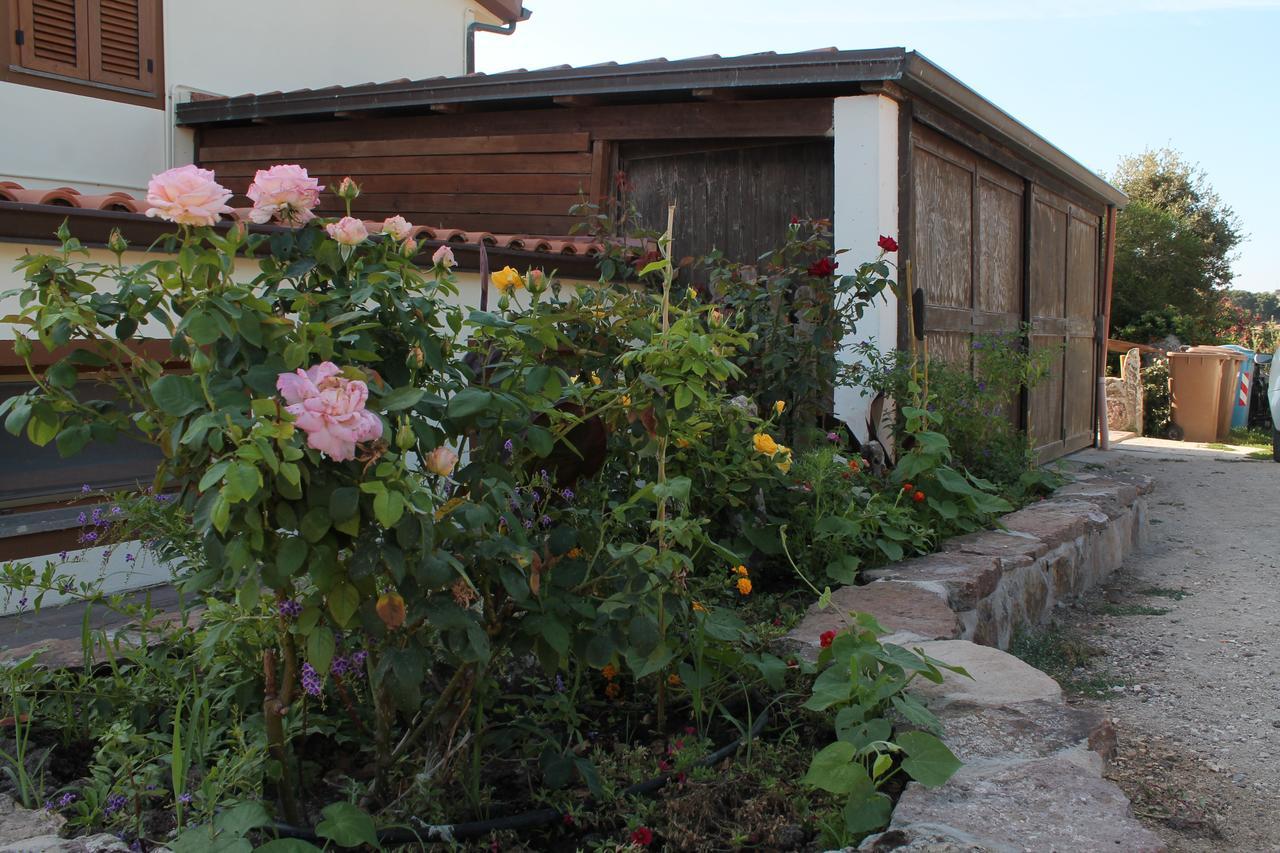 Agriturismo Su Recreu Ittiri Экстерьер фото
