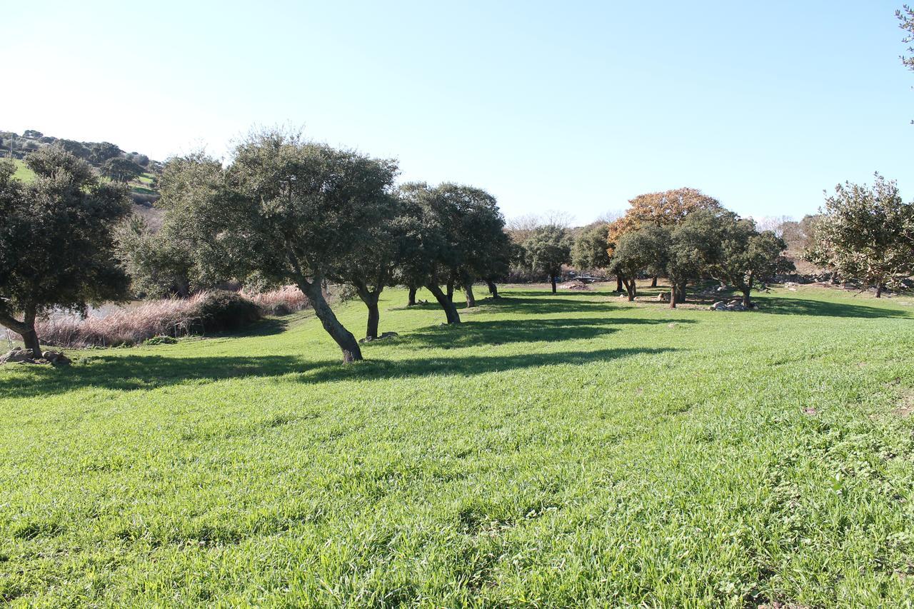 Agriturismo Su Recreu Ittiri Экстерьер фото